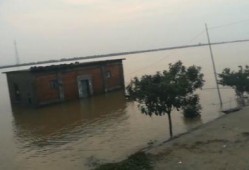 各大新闻爆料大石桥水灾,突发洪水肆虐，家园受损，救援行动紧急展开